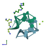 PDB entry 336d coloured by chain, side view.