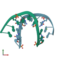 PDB entry 383d coloured by chain, front view.