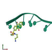 PDB entry 386d coloured by chain, front view.