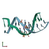 PDB entry 388d coloured by chain, front view.