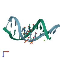 PDB entry 388d coloured by chain, top view.