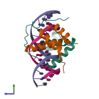 Hetero tetrameric assembly 1 of PDB entry 3a01 coloured by chemically distinct molecules, side view.