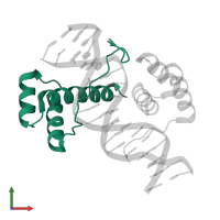Homeobox domain-containing protein in PDB entry 3a01, assembly 1, front view.