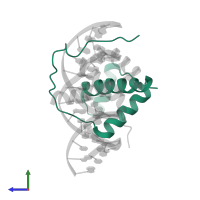 Homeobox domain-containing protein in PDB entry 3a01, assembly 1, side view.