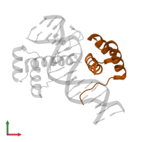 Homeobox protein aristaless in PDB entry 3a01, assembly 1, front view.