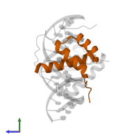 Homeobox protein aristaless in PDB entry 3a01, assembly 1, side view.