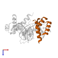 Homeobox protein aristaless in PDB entry 3a01, assembly 1, top view.