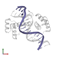 5'-D(*GP*GP*CP*TP*TP*AP*AP*TP*TP*AP*AP*TP*TP*GP*CP*GP*G)-3' in PDB entry 3a01, assembly 1, front view.