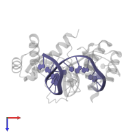 5'-D(*GP*GP*CP*TP*TP*AP*AP*TP*TP*AP*AP*TP*TP*GP*CP*GP*G)-3' in PDB entry 3a01, assembly 1, top view.