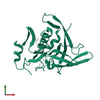 Bifunctional glutathionylspermidine synthetase/amidase in PDB entry 3a2y, assembly 1, front view.