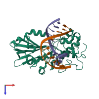 Hetero trimeric assembly 2 of PDB entry 3a46 coloured by chemically distinct molecules, top view.