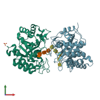 PDB entry 3a4w coloured by chain, front view.