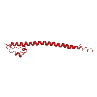 The deposited structure of PDB entry 3a5t contains 2 copies of CATH domain 1.20.5.170 (Single alpha-helices involved in coiled-coils or other helix-helix interfaces) in Transcription factor MafG. Showing 1 copy in chain A.