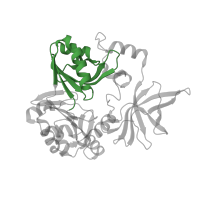 The deposited structure of PDB entry 3a8k contains 4 copies of CATH domain 3.30.70.1400 (Alpha-Beta Plaits) in Aminomethyltransferase. Showing 1 copy in chain A.