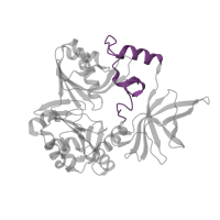 The deposited structure of PDB entry 3a8k contains 4 copies of CATH domain 4.10.1250.10 (Aminomethyltransferase fragment) in Aminomethyltransferase. Showing 1 copy in chain A.