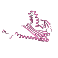 The deposited structure of PDB entry 3aaa contains 1 copy of Pfam domain PF01267 (F-actin capping protein alpha subunit) in F-actin-capping protein subunit alpha-1. Showing 1 copy in chain A.