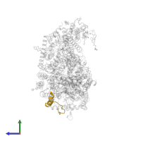 Cytochrome c oxidase subunit 7B, mitochondrial in PDB entry 3abl, assembly 1, side view.