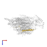 Cytochrome c oxidase subunit 7B, mitochondrial in PDB entry 3abl, assembly 1, top view.