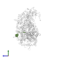 Cytochrome c oxidase subunit 8B, mitochondrial in PDB entry 3abm, assembly 1, side view.
