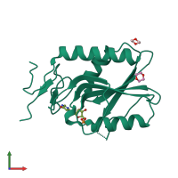 PDB entry 3acd coloured by chain, front view.