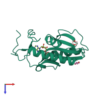 PDB entry 3acd coloured by chain, top view.