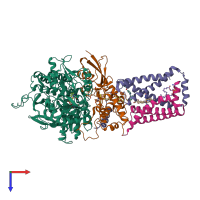 Hetero tetrameric assembly 1 of PDB entry 3ae8 coloured by chemically distinct molecules, top view.