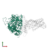 Succinate dehydrogenase [ubiquinone] flavoprotein subunit, mitochondrial in PDB entry 3ae8, assembly 1, front view.