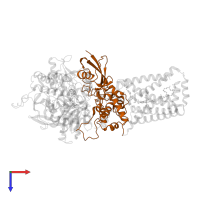 Succinate dehydrogenase [ubiquinone] iron-sulfur subunit, mitochondrial in PDB entry 3ae8, assembly 1, top view.