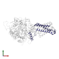 Succinate dehydrogenase cytochrome b560 subunit, mitochondrial in PDB entry 3ae8, assembly 1, front view.
