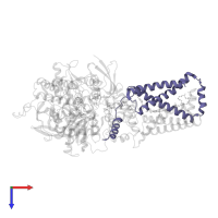 Succinate dehydrogenase cytochrome b560 subunit, mitochondrial in PDB entry 3ae8, assembly 1, top view.