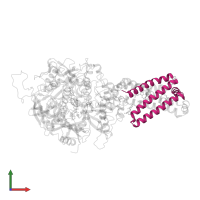Succinate dehydrogenase [ubiquinone] cytochrome b small subunit, mitochondrial in PDB entry 3ae8, assembly 1, front view.