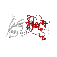 The deposited structure of PDB entry 3aef contains 1 copy of CATH domain 1.10.1060.10 (Fumarate Reductase Iron-sulfur Protein; Chain B, domain 2) in Succinate dehydrogenase [ubiquinone] iron-sulfur subunit, mitochondrial. Showing 1 copy in chain B.