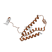 The deposited structure of PDB entry 3aef contains 1 copy of Pfam domain PF01127 (Succinate dehydrogenase/Fumarate reductase transmembrane subunit) in Succinate dehydrogenase cytochrome b560 subunit, mitochondrial. Showing 1 copy in chain C.