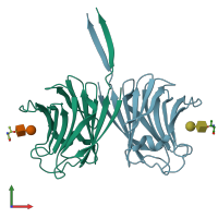 PDB entry 3afk coloured by chain, front view.