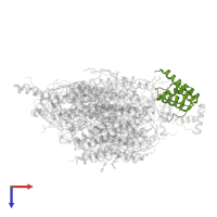 Cytochrome c oxidase subunit 5A, mitochondrial in PDB entry 3ag1, assembly 1, top view.