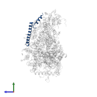Cytochrome c oxidase subunit 7A1, mitochondrial in PDB entry 3ag2, assembly 2, side view.