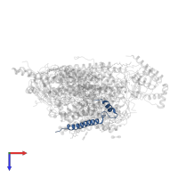 Cytochrome c oxidase subunit 7A1, mitochondrial in PDB entry 3ag2, assembly 2, top view.