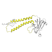 The deposited structure of PDB entry 3ag3 contains 2 copies of CATH domain 1.10.287.90 (Helix Hairpins) in Cytochrome c oxidase subunit 2. Showing 1 copy in chain B.