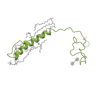 The deposited structure of PDB entry 3ag3 contains 2 copies of Pfam domain PF02046 (Cytochrome c oxidase subunit VIa) in Cytochrome c oxidase subunit 6A2, mitochondrial. Showing 1 copy in chain G.