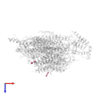 DECYL-BETA-D-MALTOPYRANOSIDE in PDB entry 3ag3, assembly 1, top view.
