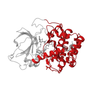 The deposited structure of PDB entry 3agl contains 2 copies of CATH domain 1.10.510.10 (Transferase(Phosphotransferase); domain 1) in cAMP-dependent protein kinase catalytic subunit alpha. Showing 1 copy in chain A.