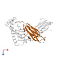Beta-2-microglobulin in PDB entry 3am8, assembly 1, top view.