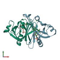 PDB entry 3amf coloured by chain, front view.