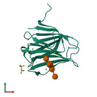 PDB entry 3ap9 coloured by chain, front view.