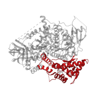 The deposited structure of PDB entry 3apc contains 1 copy of CATH domain 1.10.1070.11 (Phosphatidylinositol 3-kinase Catalytic Subunit; Chain A, Domain 5) in Phosphatidylinositol 4,5-bisphosphate 3-kinase catalytic subunit gamma isoform. Showing 1 copy in chain A.