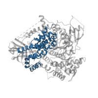 The deposited structure of PDB entry 3apc contains 1 copy of CATH domain 1.25.40.70 (Serine Threonine Protein Phosphatase 5, Tetratricopeptide repeat) in Phosphatidylinositol 4,5-bisphosphate 3-kinase catalytic subunit gamma isoform. Showing 1 copy in chain A.