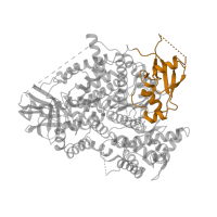 The deposited structure of PDB entry 3apc contains 1 copy of Pfam domain PF00794 (PI3-kinase family, ras-binding domain) in Phosphatidylinositol 4,5-bisphosphate 3-kinase catalytic subunit gamma isoform. Showing 1 copy in chain A.