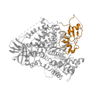 The deposited structure of PDB entry 3apf contains 1 copy of Pfam domain PF00794 (PI3-kinase family, ras-binding domain) in Phosphatidylinositol 4,5-bisphosphate 3-kinase catalytic subunit gamma isoform. Showing 1 copy in chain A.