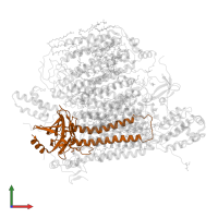 Cytochrome c oxidase subunit 2 in PDB entry 3asn, assembly 2, front view.