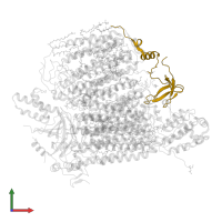 Cytochrome c oxidase subunit 5B, mitochondrial in PDB entry 3asn, assembly 2, front view.